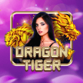 Dragon Tiger live card table